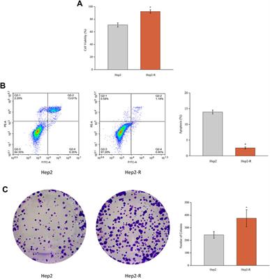 FN1 promotes prognosis and radioresistance in head and neck squamous cell carcinoma: From radioresistant HNSCC cell line to integrated bioinformatics methods